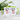 Cheers to 70! – Tasse in Grün mit Geschenkkarton – Ansicht 02 #farbe_gruen