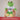 Happy Birthday – Kuscheltier Frosch, Ansicht 06 #kuscheltier_frosch