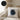 Sternzeichen Widder – mit Name & Datum personalisiert – Kissen in Schwarz – Wohnbeispiel #farbe_schwarz