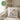 Gans gechillt – Kissen 40 × 40 cm mit Rückseite in Grün – Wohnbeispiel #farbe_gruen