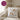 Gans gechillt – Kissen 40 × 40 cm mit Rückseite in Violett – Wohnbeispiel #farbe_violett