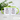 Falls es dir heute noch keiner gesagt hat geiler Arsch – Tasse in Grün mit Geschenkkarton – Ansicht 02 #farbe_gruen