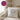 Einen scheiß muss ich – Flowers – Kissen 40 × 40 cm mit Rückseite in Violett – Wohnbeispiel #farbe_violett