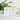 Bevor du fragst nein – Tasse in Grün – Ansicht 02 #farbe_gruen