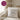 Weil du dumm bist – Flowers – Kissen 40 × 40 cm mit Rückseite in Violett – Wohnbeispiel #farbe_violett