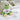 Lieblings-Oma – Kuscheltier Frosch, Ansicht 04 #kuscheltier_frosch