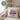 Lieblings Chefin – Kissen 40 × 40 cm mit Rückseite in Grün – Wohnbeispiel #farbe_gruen