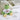 Lieblings-Lehrerin – Kuscheltier Frosch, Ansicht 04 #kuscheltier_frosch