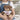 Lieblings-Lehrerin – Kuscheltier Kuschelbär, Ansicht 05 #kuscheltier_kuschelb-r