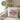 Lieblings Mitbewohnerin – Kissen 40 × 40 cm mit Rückseite in Grün – Wohnbeispiel #farbe_gruen