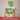 Lieblings-Nachbarin – Kuscheltier Frosch, Ansicht 06 #kuscheltier_frosch