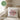 Lieblings Schwiegertochter – Kissen 40 × 40 cm mit Rückseite in Grün – Wohnbeispiel #farbe_gruen