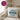 Lieblings Partner – Kissen 40 × 40 cm mit Rückseite in Violett – Wohnbeispiel #farbe_violett