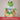 Lieblings-Schwiegersohn – Kuscheltier Frosch, Ansicht 06 #kuscheltier_frosch