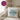 Lieblings Schwiegersohn – Kissen 40 × 40 cm mit Rückseite in Violett – Wohnbeispiel #farbe_violett