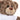 Lieblings-Trainer – Kuscheltier Kuschelbär, Ansicht 03 #kuscheltier_kuschelb-r