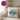 Lieblings Pfleger – Kissen 40 × 40 cm mit Rückseite in Violett – Wohnbeispiel #farbe_violett