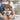Schulkind 2026 Dino – Kuscheltier Kuschelbär, Ansicht 05 #kuscheltier_kuschelb-r
