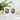 Die mit dem Hund geht – Tasse in Gelb mit Geschenkkarton – Ansicht 02 #farbe_gelb