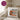 Die tut nix, die will nur lesen – Kissen 40 × 40 cm mit Rückseite in Violett – Wohnbeispiel #farbe_violett