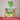 85 Happy Birthday – Kuscheltier Frosch, Ansicht 06 #kuscheltier_frosch