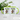 Anti-Stress für Dozenten – Tasse in Grün – Ansicht 02 #farbe_gruen