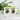 Anti-Stress für Naturliebhaber – Tasse in Grün – Ansicht 02 #farbe_gruen