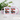 Anti-Stress für Autoliebhaber – Tasse in Rosa – Ansicht 02 #farbe_rosa