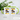Anti-Stress fürs Grillen – Tasse in Grün mit Geschenkkarton – Ansicht 02 #farbe_gruen