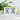 Anti-Stress für Optiker – Tasse in Grün mit Geschenkkarton – Ansicht 02 #farbe_gruen