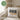 Die tut nix – die will nur Spritz – Kissen 40 × 40 cm mit Rückseite in Grün – Wohnbeispiel #farbe_gruen