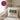 Die tut nix – die will nur Spritz – Kissen 40 × 40 cm mit Rückseite in Violett – Wohnbeispiel #farbe_violett