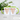 Biele – Tasse in Grün – Ansicht 02 #farbe_gruen