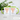 Biele – Tasse in Grün – Ansicht 02 #farbe_gruen