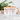 Biele – Tasse in Orange mit Geschenkkarton – Ansicht 02 #farbe_orange