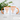 Biele – Tasse in Orange mit Geschenkkarton – Ansicht 02 #farbe_orange