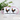 Talahuhn – Tasse in Rosa mit Geschenkkarton – Ansicht 02 #farbe_rosa
