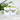 Hokus Pokus, Glühwein-Modus – Tasse in Grün mit Geschenkkarton – Ansicht 02 #farbe_gruen