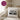 Ich kaufe ein i und möchte lösen fck dch – Kissen 40 × 40 cm mit Rückseite in Violett – Wohnbeispiel #farbe_violett