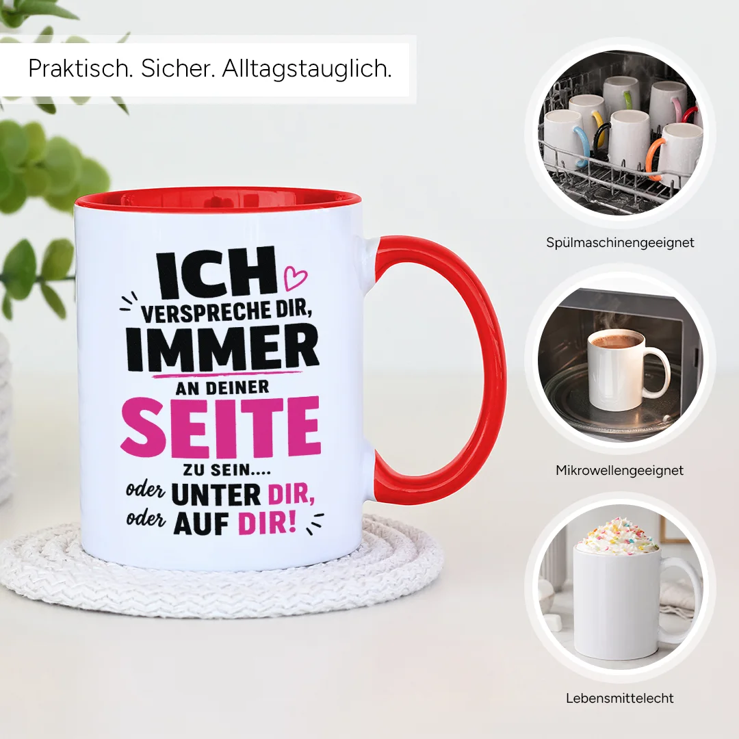 Spülmaschinenfest