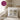 Schaf unschaf – Kissen 40 × 40 cm mit Rückseite in Violett – Wohnbeispiel #farbe_violett