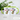 You are so roar some – Tasse in Grün mit Geschenkkarton – Ansicht 02 #farbe_gruen