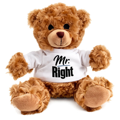 Teddybär