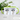 Psychisch am Ente – Tasse in Grün mit Geschenkkarton – Ansicht 02 #farbe_gruen