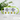 You complete me avocado – Tasse in Grün – Ansicht 02 #farbe_gruen