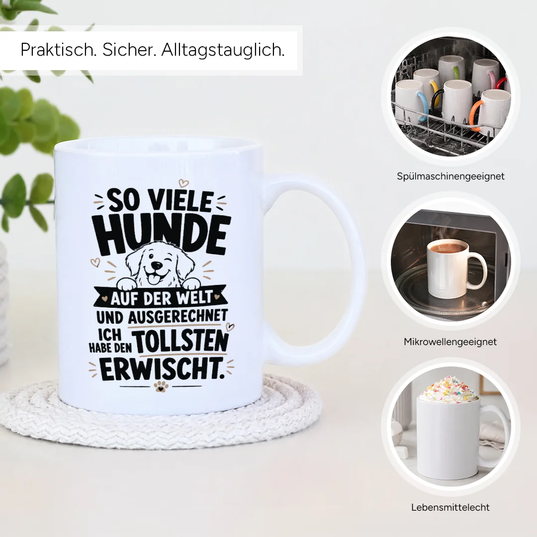 Spülmaschinenfest