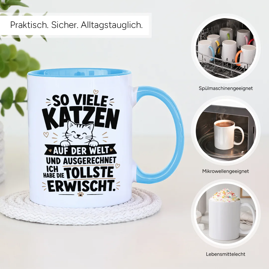 Spülmaschinenfest