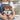 Tante loading – Motivfarbe Gelb – Kuscheltier Kuschelbär, Ansicht 05 #kuscheltier_kuschelb-r