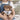 Bruder loading – Motivfarbe Gelb – Kuscheltier Kuschelbär, Ansicht 05 #kuscheltier_kuschelb-r