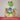 Ich bin Lehrerin – Kuscheltier Frosch, Ansicht 06 #kuscheltier_frosch